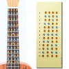 nauka gry na ukulele - naklejki edukacyjne