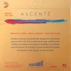 Struny do skrzypiec D'Addario Ascente A310 4/4M