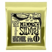Struny Ernie Ball 2214 Mammoth Slinky 12-62