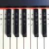 Naklejki nuty z solmizacją na klawisze keyboard pianino. Gama B