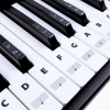 Czarno-białe naklejki z nutami na klawisze keyboardu i pianina – gama B