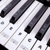 Czarno-białe naklejki na klawisze keyboardu i pianina – zestaw nut