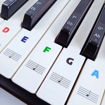 Kolorowe naklejki nutowe – oznaczenia na klawisze pianina i keyboardu