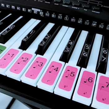 Kolorowe naklejki nutowe – oznaczenia na klawisze pianina i keyboardu