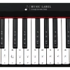 Zestaw czarno-białych naklejek z nutami gamy B na klawisze keyboardu i pianina